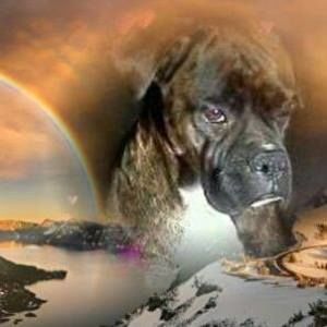 Meet your Posher, Cathee